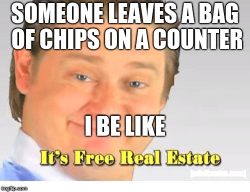 It's Free Real Estate | SOMEONE LEAVES A BAG OF CHIPS ON A COUNTER; I BE LIKE | image tagged in it's free real estate | made w/ Imgflip meme maker