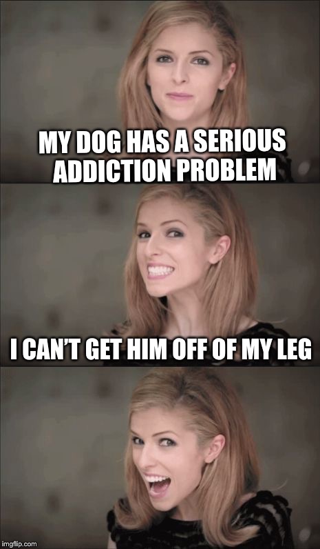 He Needs to Kick the Habit! | MY DOG HAS A SERIOUS ADDICTION PROBLEM; I CAN’T GET HIM OFF OF MY LEG | image tagged in memes,bad pun anna kendrick,dog week | made w/ Imgflip meme maker