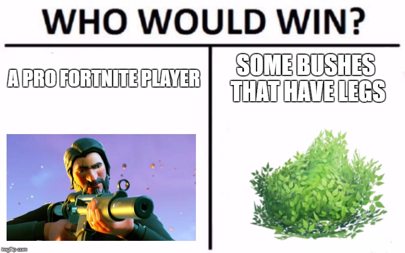 BUSH CAMPERS ARE THE WORST | A PRO FORTNITE PLAYER; SOME BUSHES THAT HAVE LEGS | image tagged in memes,who would win | made w/ Imgflip meme maker