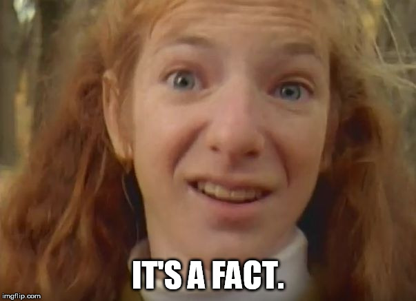 It'sAFact | IT'S A FACT. | image tagged in kidsinthehall,it'safact | made w/ Imgflip meme maker