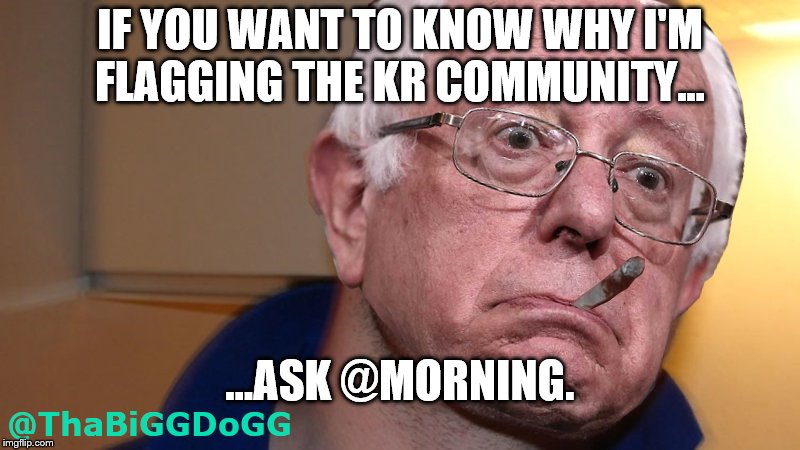 IF YOU WANT TO KNOW WHY I'M FLAGGING THE KR COMMUNITY... ...ASK @MORNING. | made w/ Imgflip meme maker