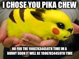 I CHOSE YOU PIKA CHEW; NO FOR THE 19067834458TH TIME IM A BUNNY SOON IT WILL BE 19067834459TH TIME | image tagged in pika chew | made w/ Imgflip meme maker