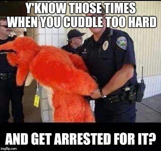 furry | Y'KNOW THOSE TIMES WHEN YOU CUDDLE TOO HARD; AND GET ARRESTED FOR IT? | image tagged in furry | made w/ Imgflip meme maker
