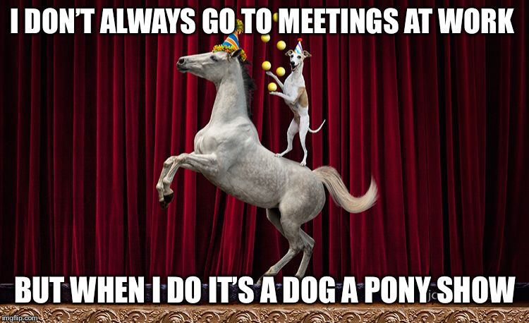 Dog Pony Show | I DON’T ALWAYS GO TO MEETINGS AT WORK; BUT WHEN I DO IT’S A DOG A PONY SHOW | image tagged in dog pony show | made w/ Imgflip meme maker