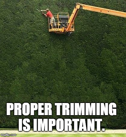 trimming the bushes | PROPER TRIMMING IS IMPORTANT. | image tagged in trimming the bushes | made w/ Imgflip meme maker