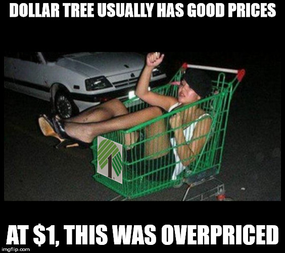 I knew they had a wide selection but... | DOLLAR TREE USUALLY HAS GOOD PRICES; AT $1, THIS WAS OVERPRICED | image tagged in dollar store,overpriced | made w/ Imgflip meme maker