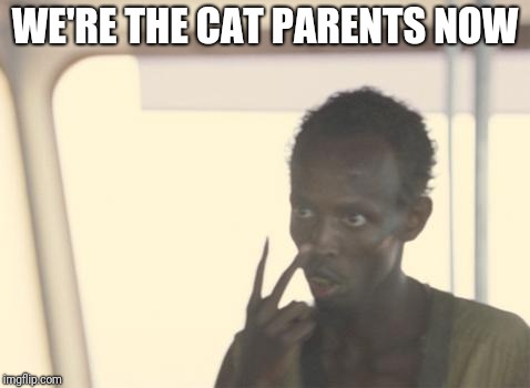 We're the Cat Parents now | WE'RE THE CAT PARENTS NOW | image tagged in memes,cats,i'm the captain now | made w/ Imgflip meme maker