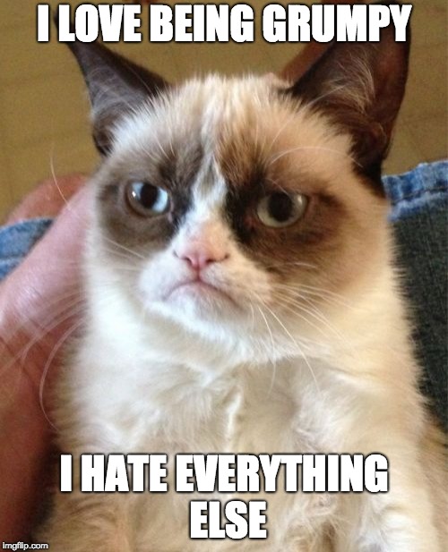 Grumpy Cat Meme | I LOVE BEING GRUMPY; I HATE EVERYTHING ELSE | image tagged in memes,grumpy cat | made w/ Imgflip meme maker