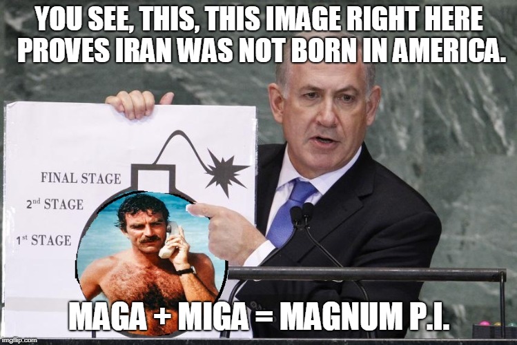 YOU SEE, THIS, THIS IMAGE RIGHT HERE PROVES IRAN WAS NOT BORN IN AMERICA. MAGA + MIGA = MAGNUM P.I. | made w/ Imgflip meme maker