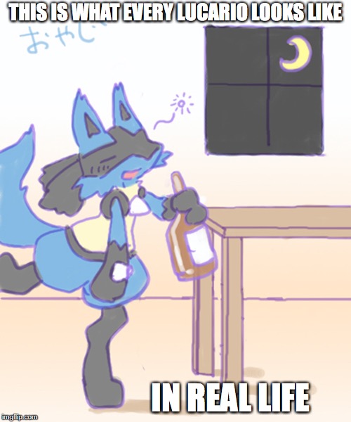Intoxicated Lucario | THIS IS WHAT EVERY LUCARIO LOOKS LIKE; IN REAL LIFE | image tagged in lucario,memes,pokemon | made w/ Imgflip meme maker