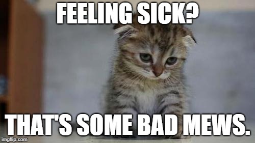 Feeling sick? | FEELING SICK? THAT'S SOME BAD MEWS. | image tagged in flu,cold,ill,cancer,tired,sick | made w/ Imgflip meme maker