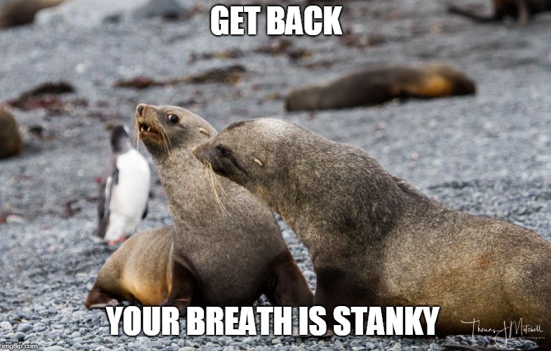 GET BACK; YOUR BREATH IS STANKY | made w/ Imgflip meme maker