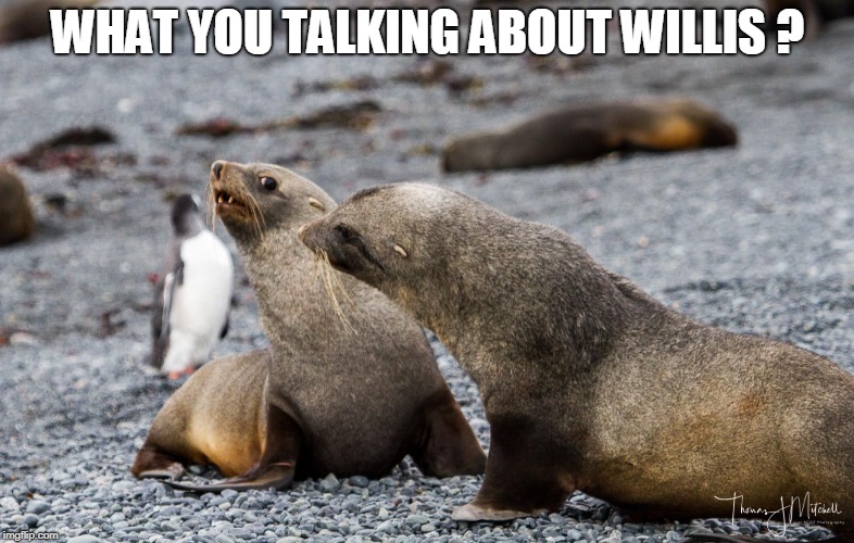 WHAT YOU TALKING ABOUT WILLIS ? | made w/ Imgflip meme maker