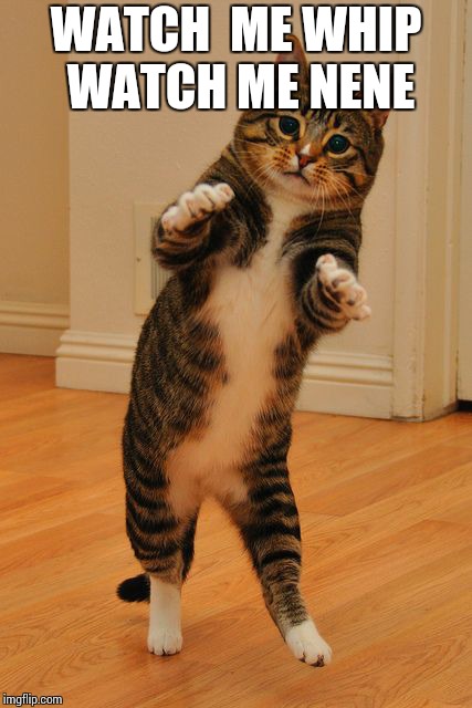 Dancing Cat | WATCH  ME WHIP WATCH ME NENE | image tagged in dancing cat | made w/ Imgflip meme maker