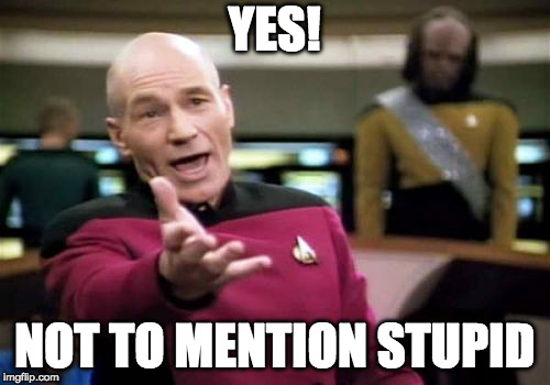 Picard Wtf Meme | YES! NOT TO MENTION STUPID | image tagged in memes,picard wtf | made w/ Imgflip meme maker