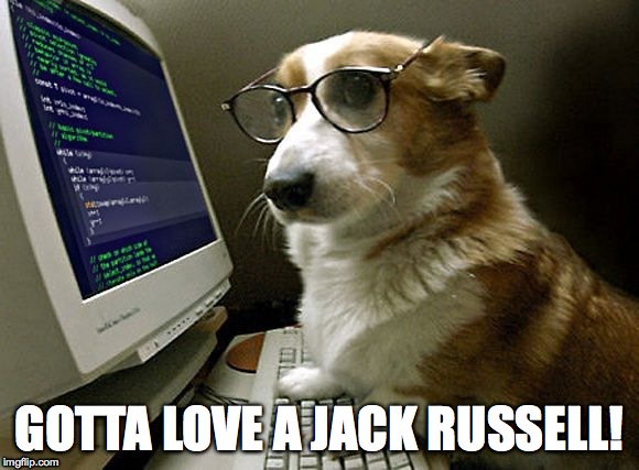 GOTTA LOVE A JACK RUSSELL! | made w/ Imgflip meme maker