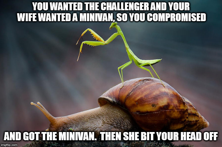 YOU WANTED THE CHALLENGER AND YOUR WIFE WANTED A MINIVAN, SO YOU COMPROMISED AND GOT THE MINIVAN.  THEN SHE BIT YOUR HEAD OFF | made w/ Imgflip meme maker