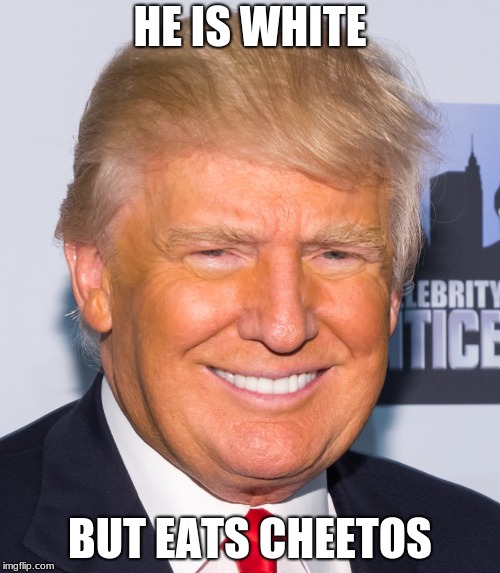 HE IS WHITE; BUT EATS CHEETOS | image tagged in donald trump | made w/ Imgflip meme maker