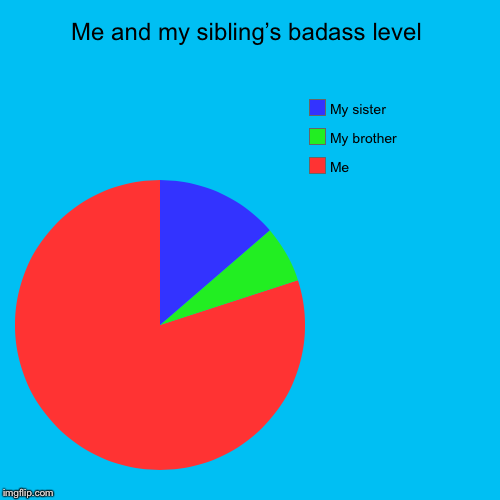 Me and my sibling’s badass level | Me , My brother, My sister | image tagged in funny,pie charts | made w/ Imgflip chart maker