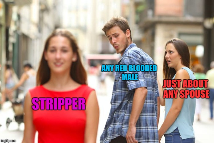 Distracted Boyfriend Meme | STRIPPER ANY RED BLOODED MALE JUST ABOUT ANY SPOUSE | image tagged in memes,distracted boyfriend | made w/ Imgflip meme maker