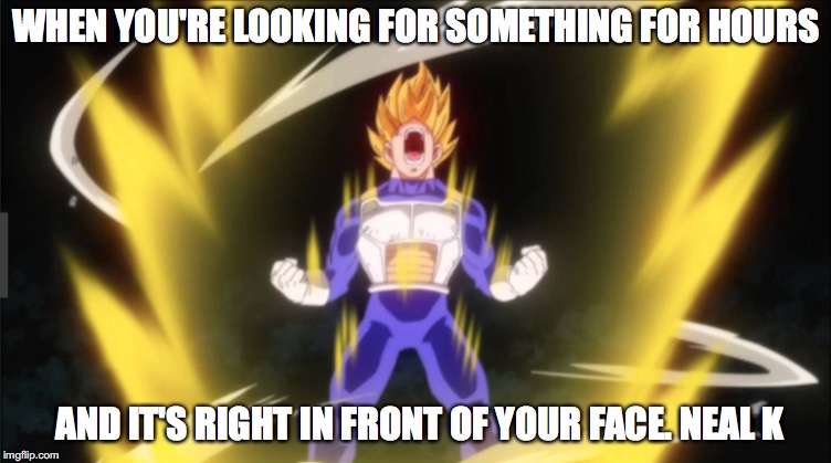 WHEN YOU'RE LOOKING FOR SOMETHING FOR HOURS; AND IT'S RIGHT IN FRONT OF YOUR FACE. NEAL K | image tagged in anime meme | made w/ Imgflip meme maker