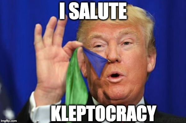 I SALUTE; KLEPTOCRACY | image tagged in memes | made w/ Imgflip meme maker