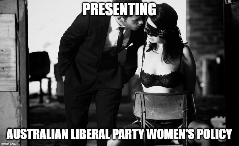 bdsm d/s | PRESENTING; AUSTRALIAN LIBERAL PARTY WOMEN'S POLICY | image tagged in bdsm d/s | made w/ Imgflip meme maker