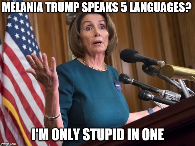MELANIA TRUMP SPEAKS 5 LANGUAGES? I'M ONLY STUPID IN ONE | made w/ Imgflip meme maker