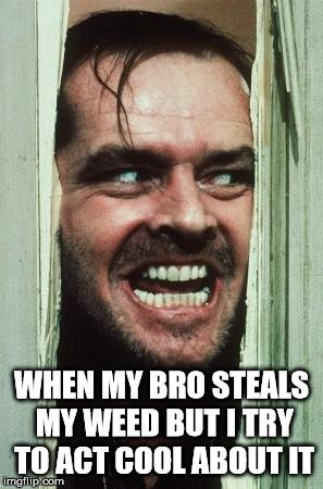 dude come on! | WHEN MY BRO STEALS MY WEED BUT I TRY TO ACT COOL ABOUT IT | image tagged in memes,heres johnny | made w/ Imgflip meme maker