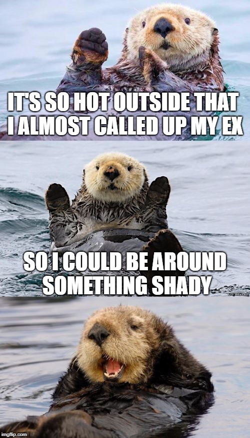 Bad pun otter | IT'S SO HOT OUTSIDE THAT I ALMOST CALLED UP MY EX; SO I COULD BE AROUND SOMETHING SHADY | image tagged in bad pun otter | made w/ Imgflip meme maker