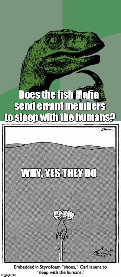 Does the fish Mafia send errant members to sleep with the humans? WHY, YES THEY DO | made w/ Imgflip meme maker