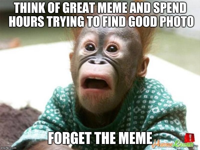 me all the time  | THINK OF GREAT MEME AND SPEND HOURS TRYING TO FIND GOOD PHOTO; FORGET THE MEME | image tagged in memes | made w/ Imgflip meme maker