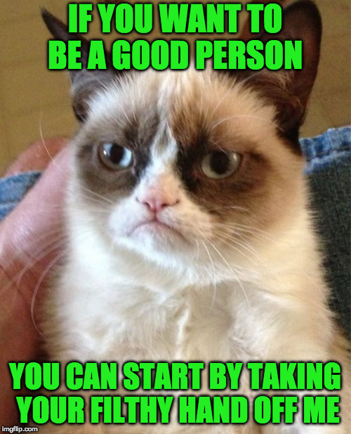 Grumpy Cat Meme | IF YOU WANT TO BE A GOOD PERSON YOU CAN START BY TAKING YOUR FILTHY HAND OFF ME | image tagged in memes,grumpy cat | made w/ Imgflip meme maker