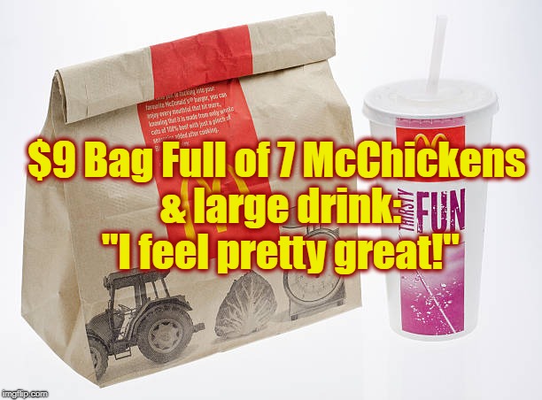 current status: Slightly Poisoned | $9 Bag Full of 7 McChickens & large drink: "I feel pretty great!" | image tagged in mclife,cheap eats,life failure | made w/ Imgflip meme maker
