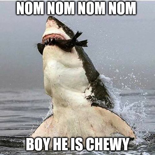 NOM NOM NOM NOM; BOY HE IS CHEWY | image tagged in shark | made w/ Imgflip meme maker