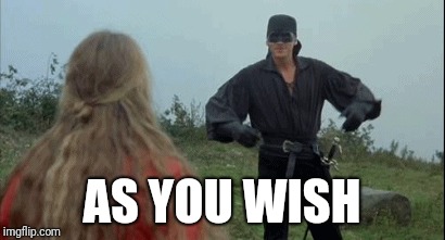 AS YOU WISH | made w/ Imgflip meme maker