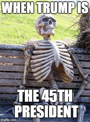 Waiting Skeleton Meme | WHEN TRUMP IS; THE 45TH PRESIDENT | image tagged in memes,waiting skeleton | made w/ Imgflip meme maker