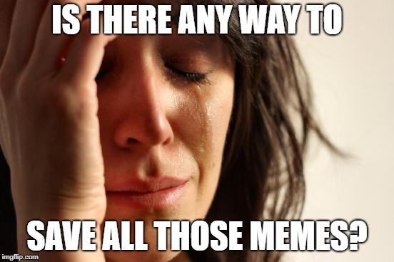 First World Problems Meme | IS THERE ANY WAY TO SAVE ALL THOSE MEMES? | image tagged in memes,first world problems | made w/ Imgflip meme maker
