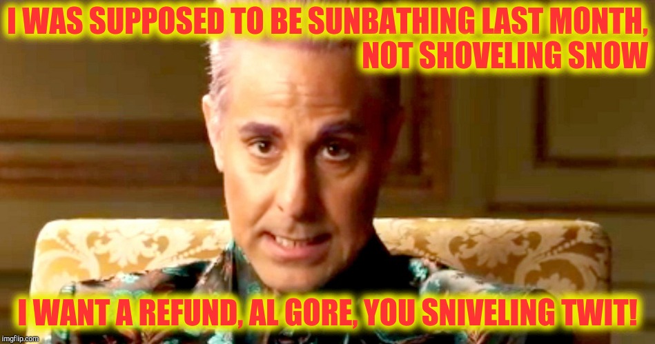 Hunger Games - Caesar Flickerman/Stanley Tucci "The fact is" | I WAS SUPPOSED TO BE SUNBATHING LAST MONTH,                           NOT SHOVELING SNOW I WANT A REFUND, AL GORE, YOU SNIVELING TWIT! | image tagged in hunger games - caesar flickerman/stanley tucci the fact is | made w/ Imgflip meme maker