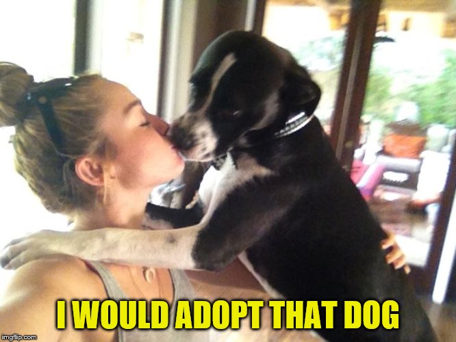 I WOULD ADOPT THAT DOG | made w/ Imgflip meme maker