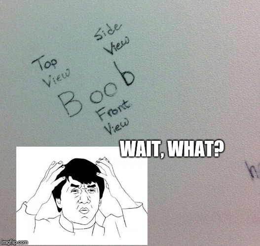 WAIT, WHAT? | image tagged in jackie chan wtf | made w/ Imgflip meme maker