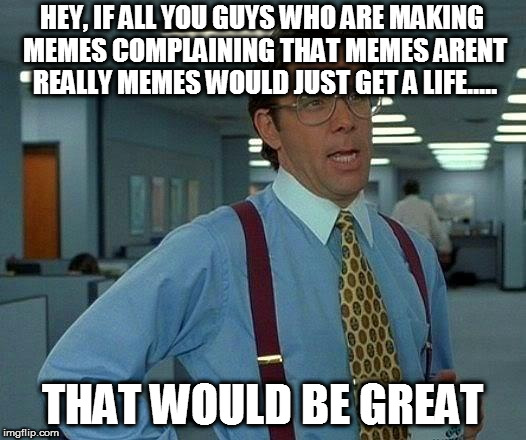 That Would Be Great Meme | HEY, IF ALL YOU GUYS WHO ARE MAKING MEMES COMPLAINING THAT MEMES ARENT REALLY MEMES WOULD JUST GET A LIFE..... THAT WOULD BE GREAT | image tagged in memes,that would be great | made w/ Imgflip meme maker