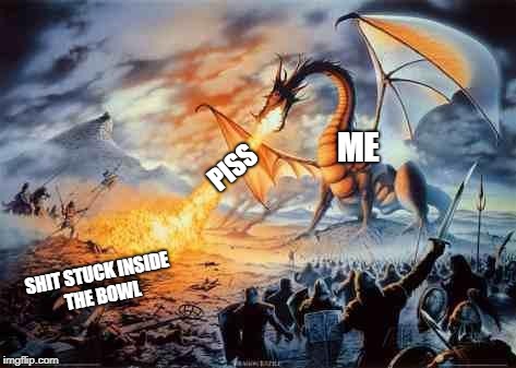 Dragon | ME; PISS; SHIT STUCK INSIDE THE BOWL | image tagged in dragon,relatable | made w/ Imgflip meme maker