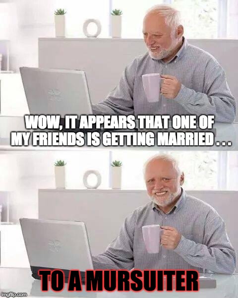 Strange Wedding News | WOW, IT APPEARS THAT ONE OF MY FRIENDS IS GETTING MARRIED . . . TO A MURSUITER | image tagged in memes,hide the pain harold,fursuit,news,strange,marriage | made w/ Imgflip meme maker