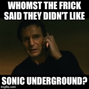 Liam Neeson Taken Meme | WHOMST THE FRICK SAID THEY DIDN'T LIKE; SONIC UNDERGROUND? | image tagged in memes,liam neeson taken | made w/ Imgflip meme maker