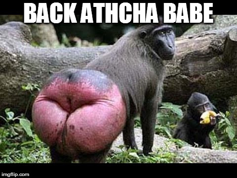 BACK ATHCHA BABE | made w/ Imgflip meme maker