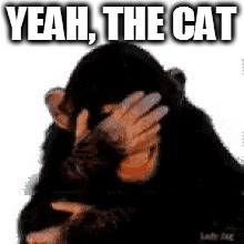 They think the cat did it | YEAH, THE CAT | image tagged in they think the cat did it | made w/ Imgflip meme maker