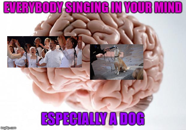 Scumbag Brain | EVERYBODY SINGING IN YOUR MIND; ESPECIALLY A DOG | image tagged in scumbag brain,dogs,earworms,brain | made w/ Imgflip meme maker