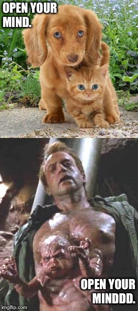 OPEN YOUR MIND. OPEN YOUR MINDDD. | made w/ Imgflip meme maker