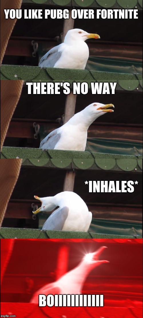 Inhaling Seagull | YOU LIKE PUBG OVER FORTNITE; THERE'S NO WAY; *INHALES*; BOIIIIIIIIIIII | image tagged in memes,inhaling seagull | made w/ Imgflip meme maker